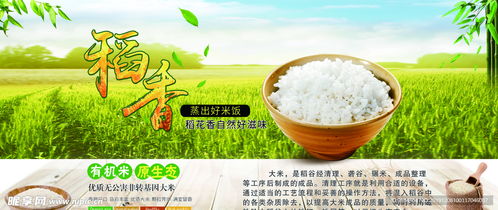 有機米 原生態、非轉基因的綠色餐桌選擇