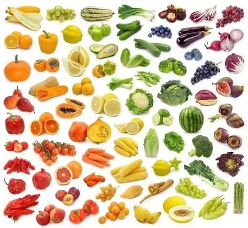 飲食習慣與帕金森病的防治 飲食調理的潛在關聯