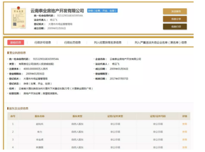 泰業地產強勢入駐巍山，首戰告捷 359套房源售罄，攬金3.5億